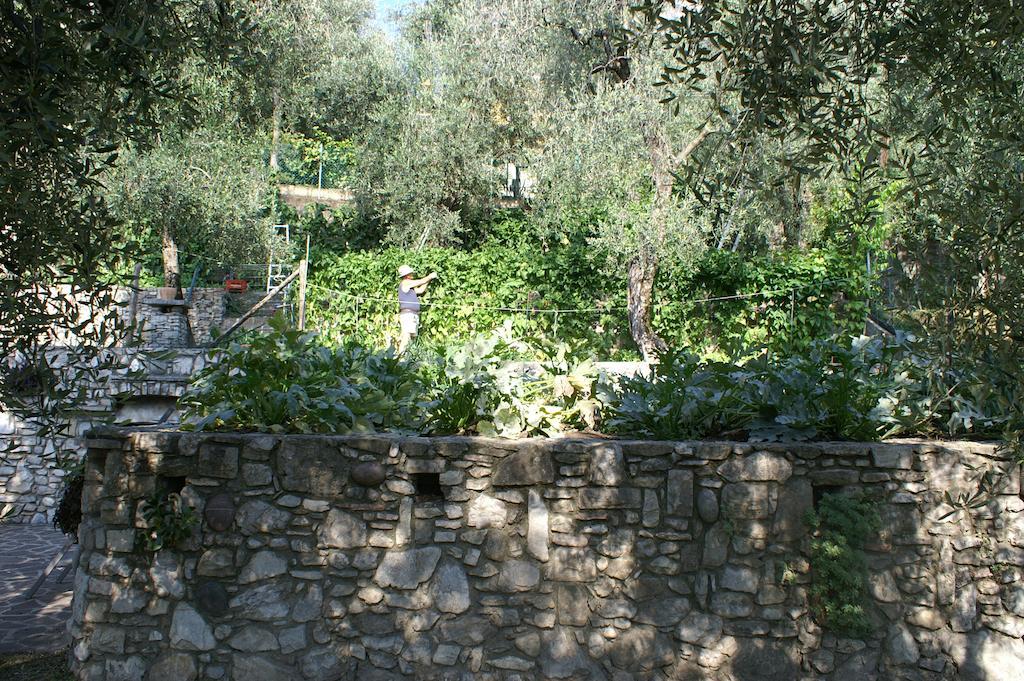Hotel Riviera Panoramic Green Resort Limone sul Garda Exterior foto
