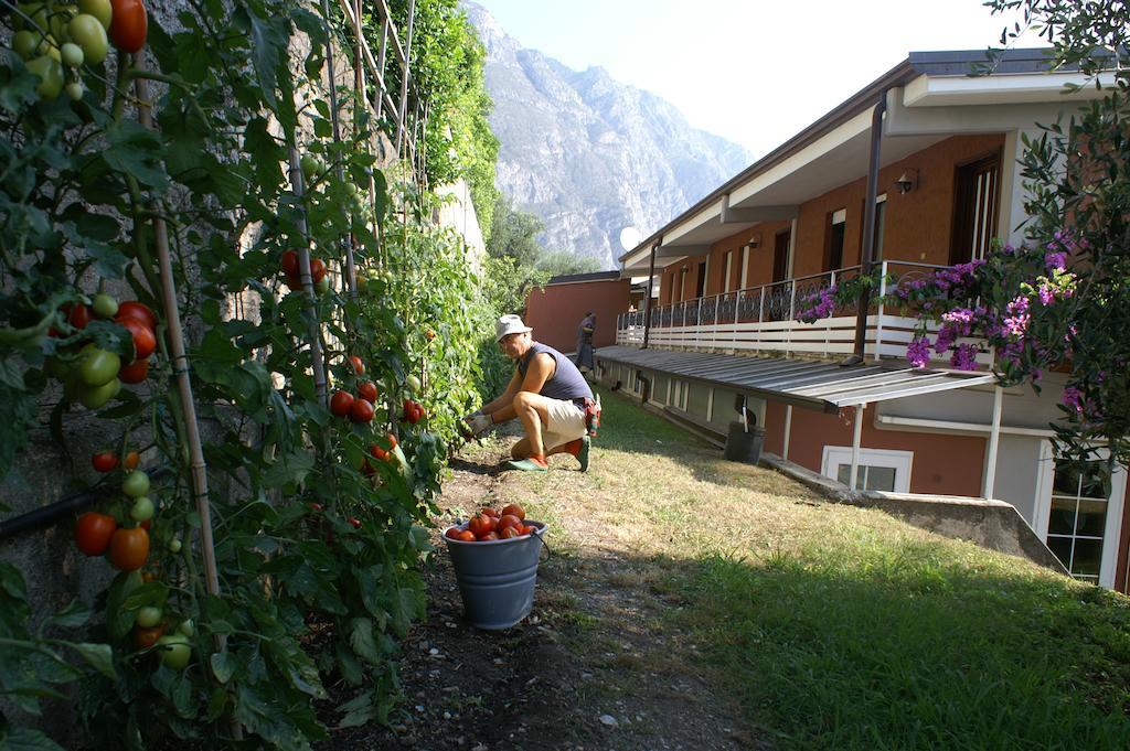 Hotel Riviera Panoramic Green Resort Limone sul Garda Exterior foto